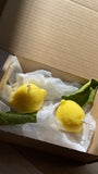 2 lemons soy wax candle set